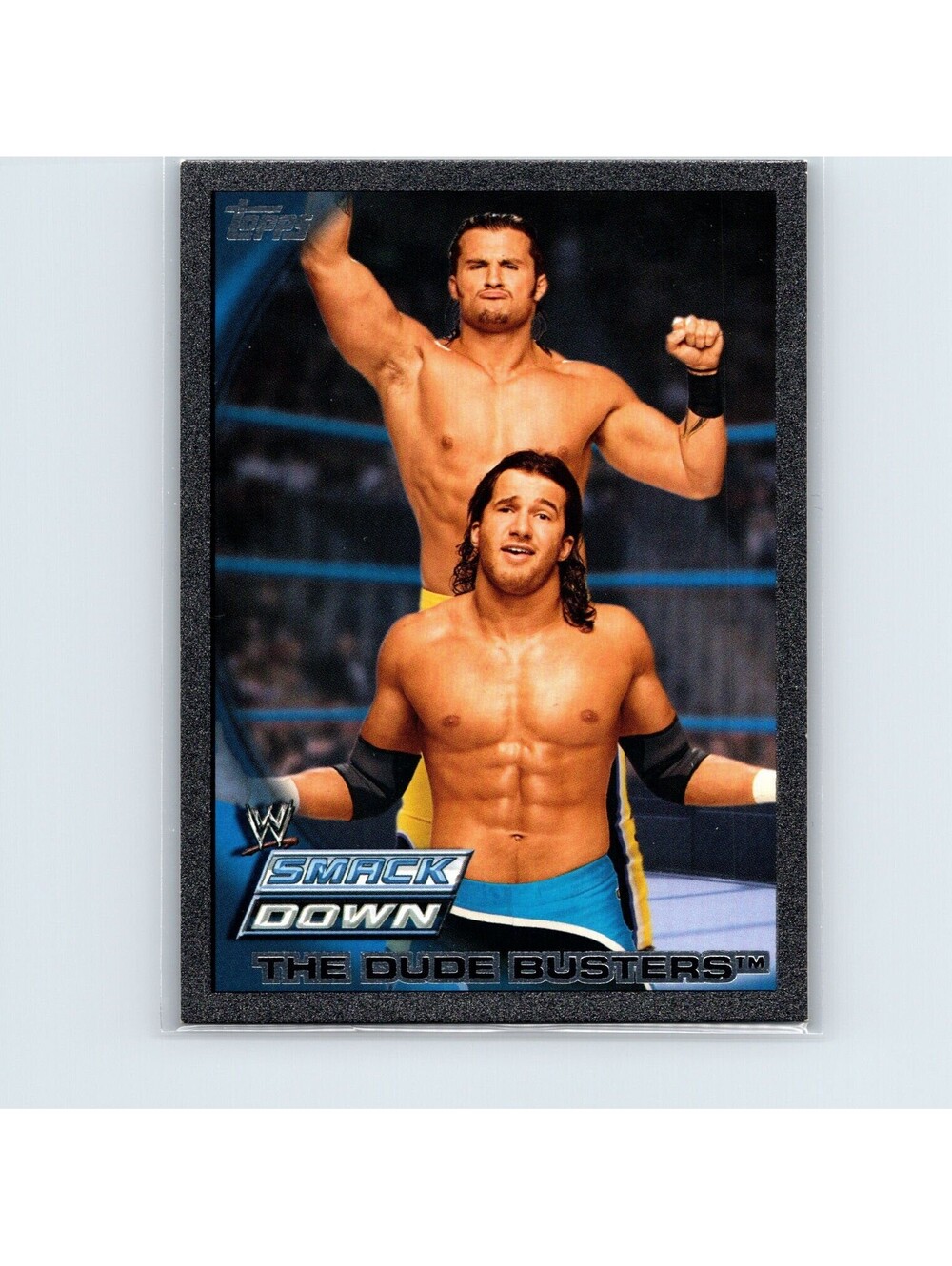 2010 Topps WWE Trent Barreta/Caylen Croft #75 Silver #/999 The Dude Busters